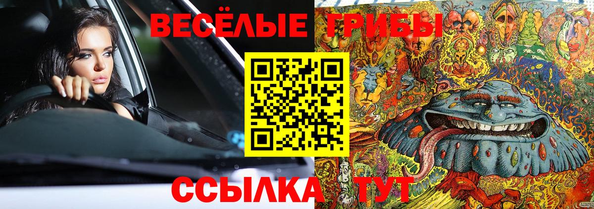 как найти   Вход с VPN  Наро-Фоминск  Псилоцибиновые грибы ЛСД 