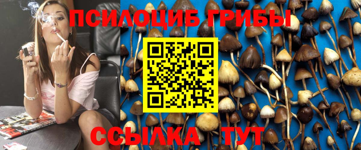 Псилоцибиновые грибы мицелий Наро-Фоминск